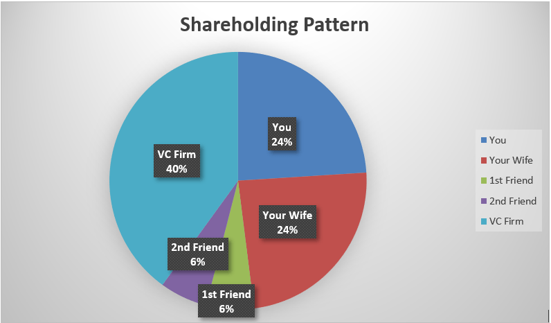 a pie chart of shareholding pattern
