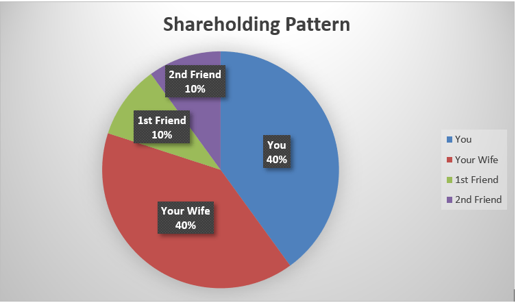 a pie chart of shareholding pattern