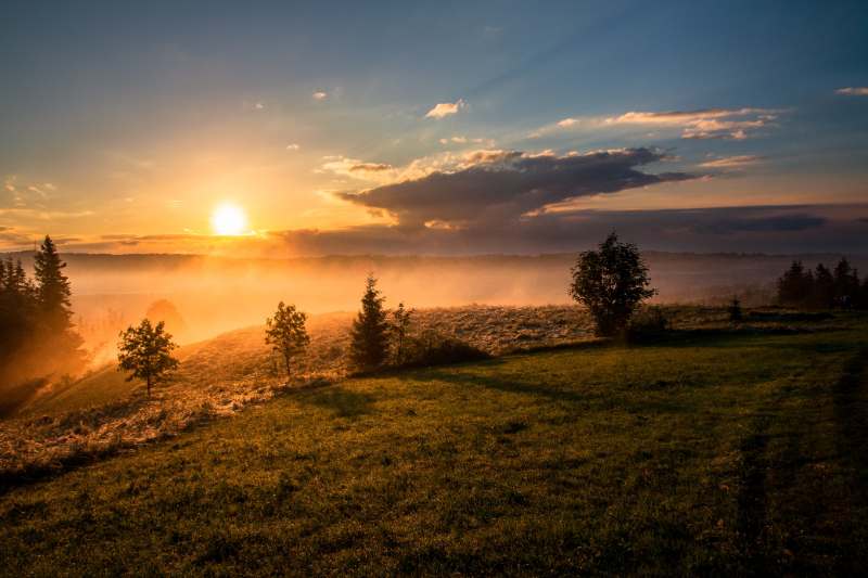 Morning Landscape With Sunrise And Tress