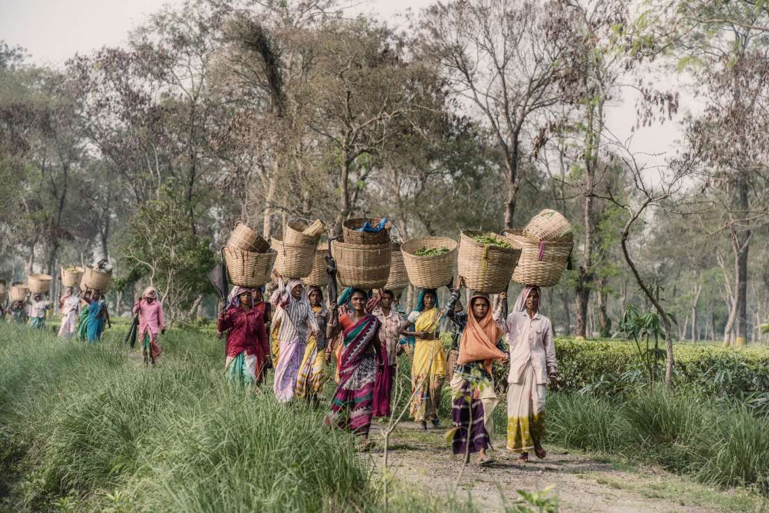 Women Walking In The Fields